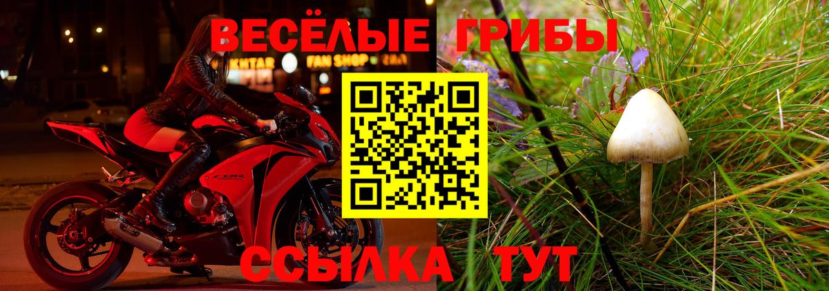 Псилоцибиновые грибы ЛСД Калининград