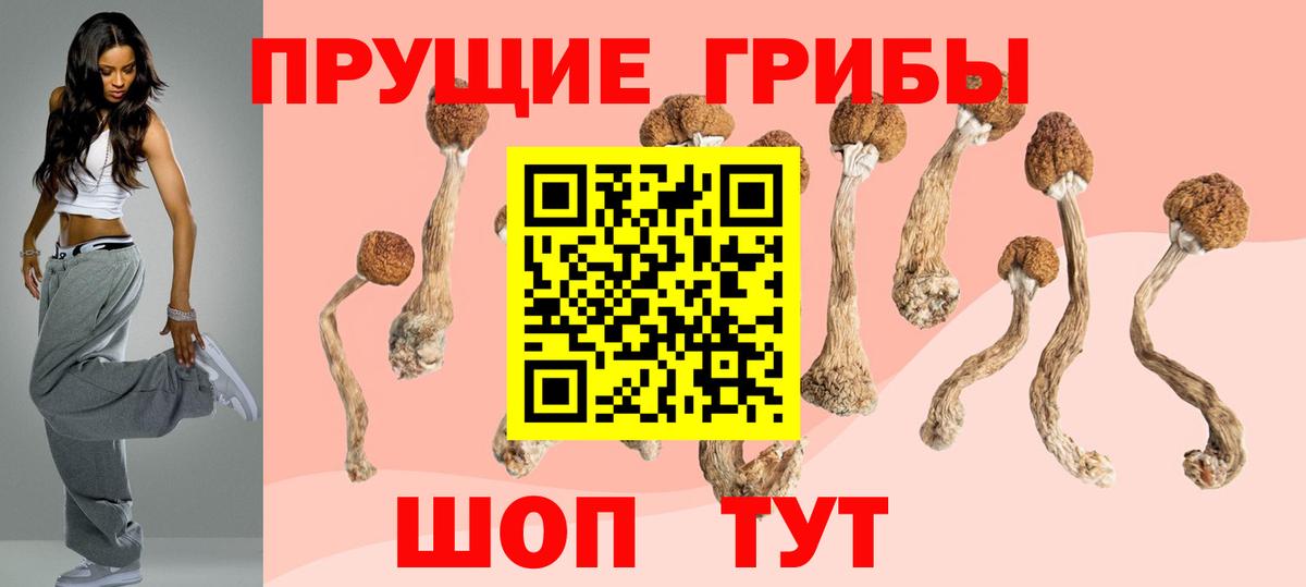 Псилоцибиновые грибы прущие грибы  где продают   Калининград  Галлюциногенные грибы GOLDEN TEACHER  Вход с VPN 